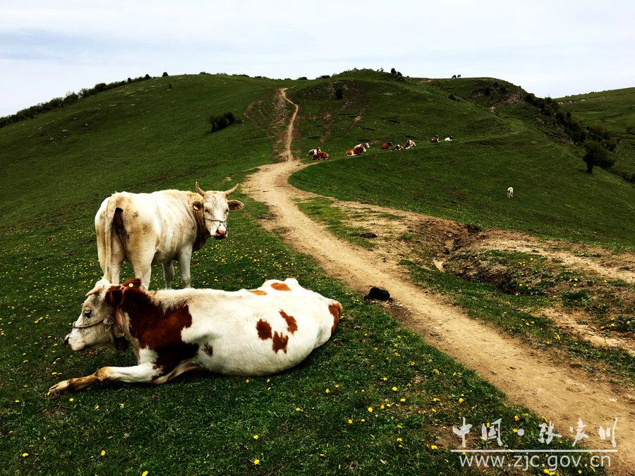 1505115150622885.jpg 9.jpg