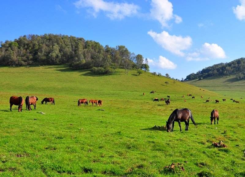 1505720793376269.jpg 4.jpg