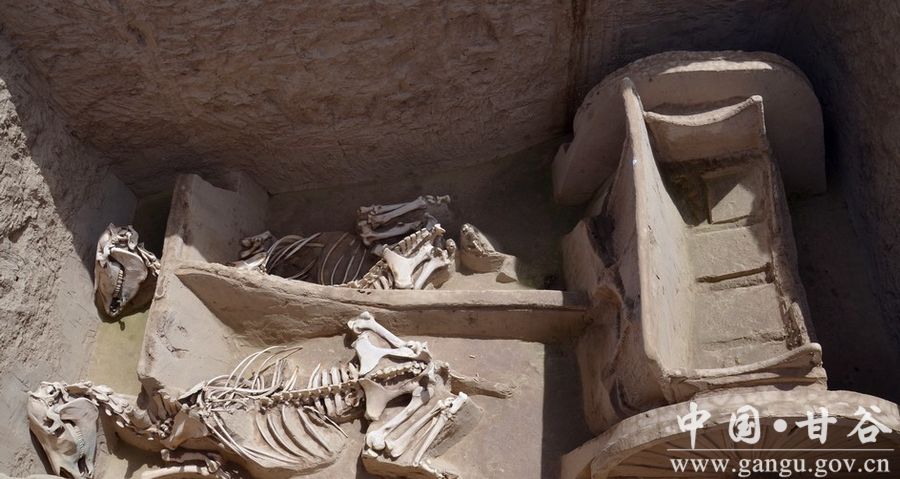 1501830609219289.jpg 3.jpg