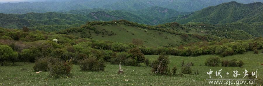 1505115340683559.jpg 15.jpg