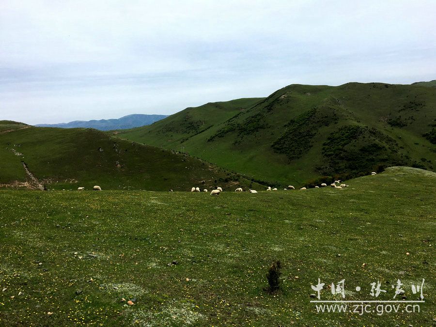 1505114768134254.jpg 4.jpg