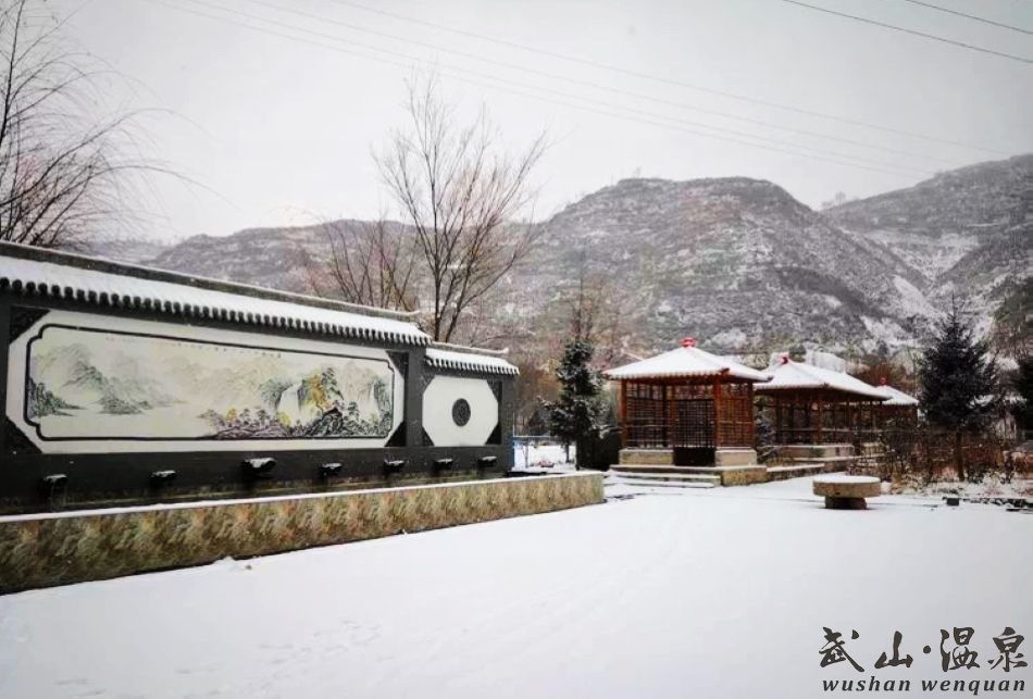 1517216852650425.jpg 5.jpg