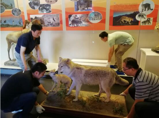 1564714558677148.jpg 3.jpg