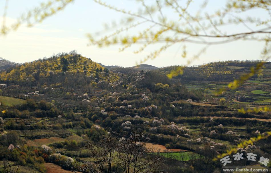 1511317765227379.jpg 2_201504122024344O6TN.jpg