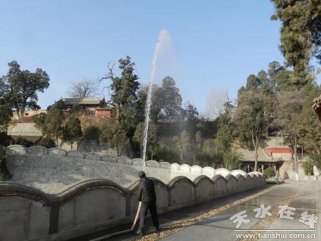 1513826179702924.jpg 1.jpg