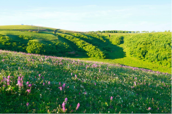 不负人见美景 畅游丝路关山33.png 不负人见美景 畅游丝路关山33.png