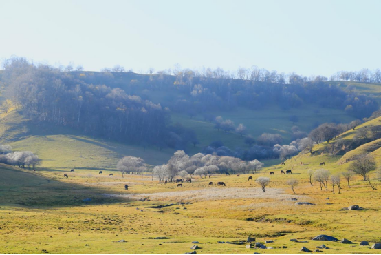 不负人见美景 畅游丝路关山382.png 不负人见美景 畅游丝路关山382.png