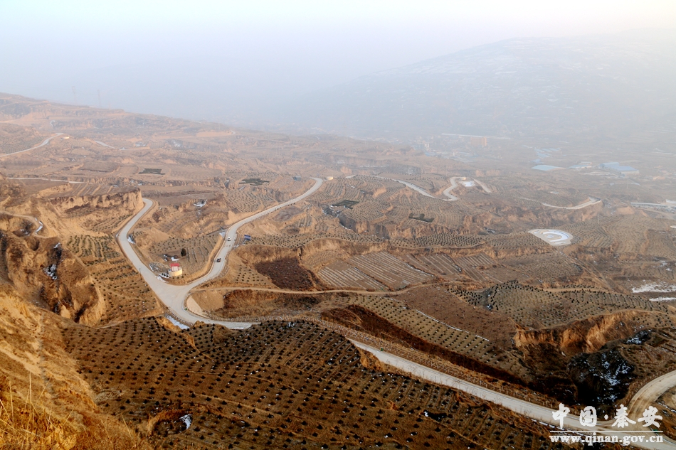 1547261297615354.jpg 3.jpg