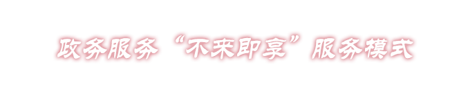 政务服务“不来即享”